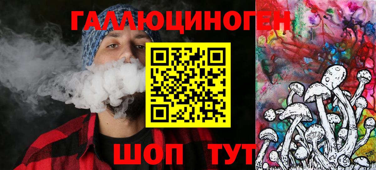 Галлюциногенные грибы Psilocybine cubensis  Вход с VPN  Баксан 